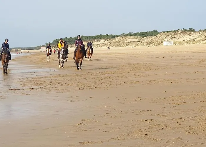 Apartamento à 1km Des Plages Avec 2 Vélos élec