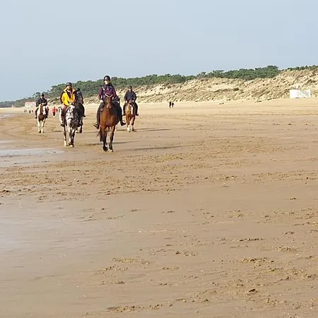 Apartment A 1km Des Plages Avec 2 Velos Elec