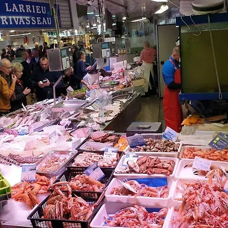 Appartement à 1km Des Plages Avec 2 Vélos élec